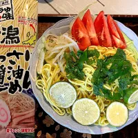 新潟あっさり醤油らあめん　冷やし|detsuyoさん
