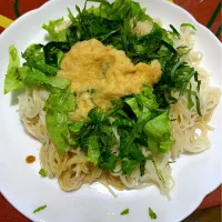 冷やしサラダ|そらもこさん