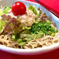 サラダそば🥗| おかちさん