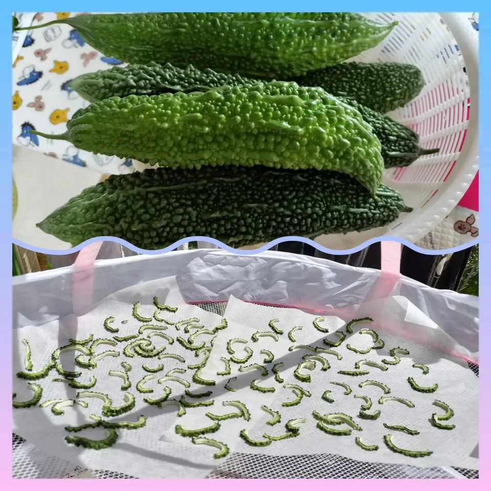 干しゴーヤ|みよぱさん