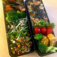 明日の昼飯シリーズ