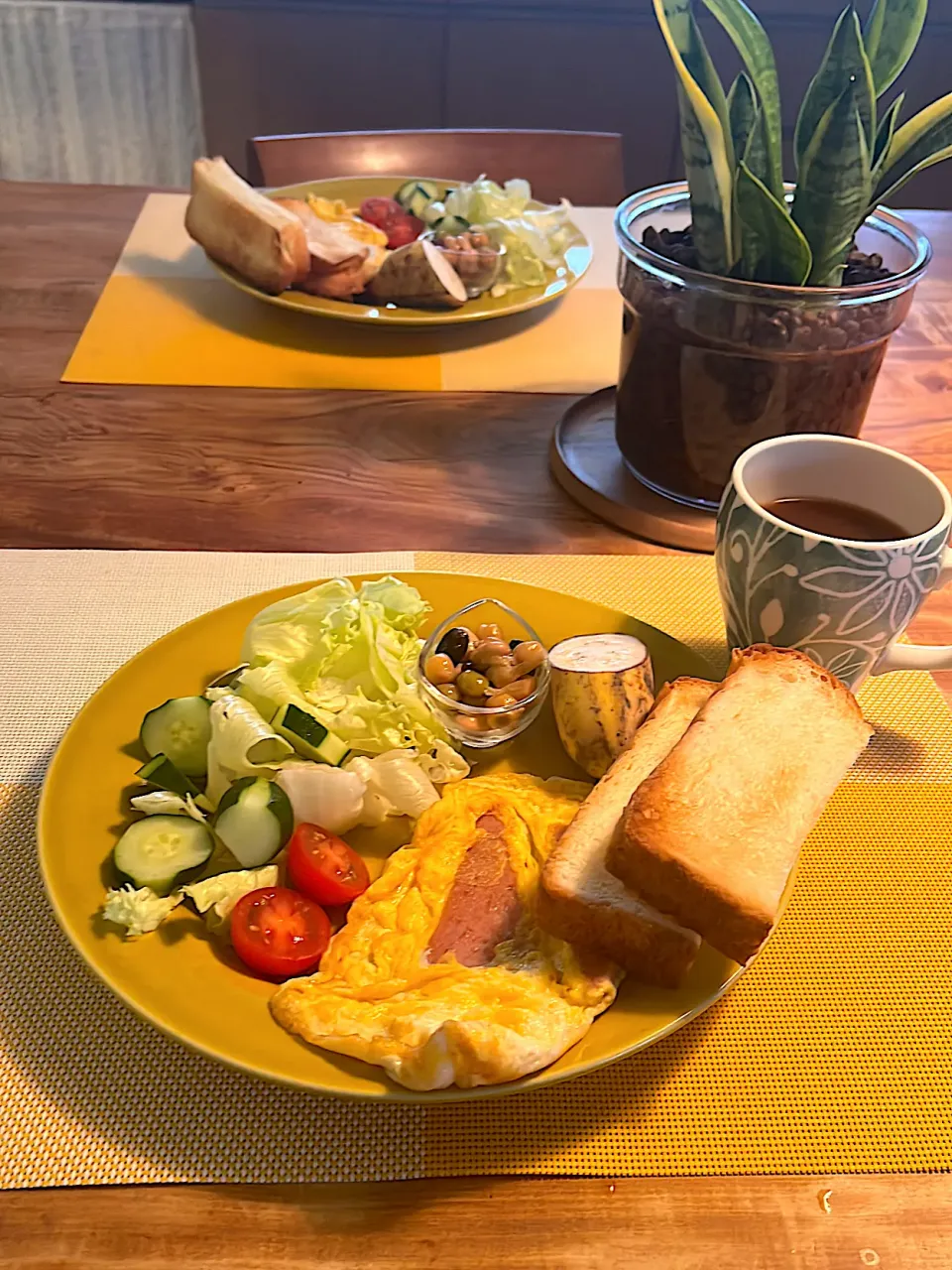 ローゼルさんちの朝ごはん　2025・8・19|ローゼルさん