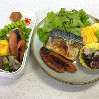 2025年8月19日お弁当🍱|もぐぷーさん