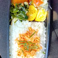 8月19日 今日も猛暑 弁当🍱|sakuramochiさん