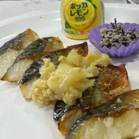 塩さばランチ🍙|🐧ペンギン2さん