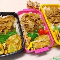 娘弁当､私弁当､夫弁当|みどりさん