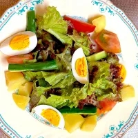 ニース風サラダ🥗20250819|rococoさん