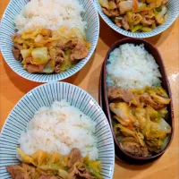 豚肉とキャベツのオイスターソース炒め弁当|NOZUさん