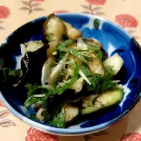 塩麹でちぎりナスと薬味の浅漬け|きつねさん