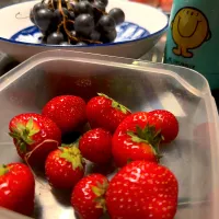 #NATUREMORTE #季夏|LNAさん