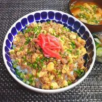 モリモリ2色そぼろどーんでムスコの置きランチ