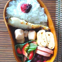 娘弁当🐟️！| まめころさん