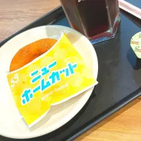 朝ミスド| しのてらさん