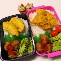 娘弁当､私弁当|みどりさん