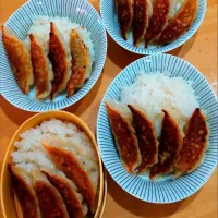 餃子弁当| NOZUさん