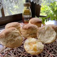 ホットビスケット