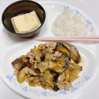 お昼ご飯|まめさん