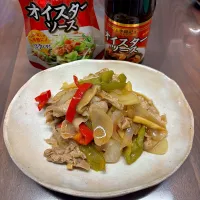 豚肉と野菜のオイスターソース炒め|krchopさん