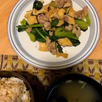 晩ごはん　しじみ汁　巨大胚芽発芽玄米　豚肉と小松菜、油揚げの味噌炒め|KimaLABOさん