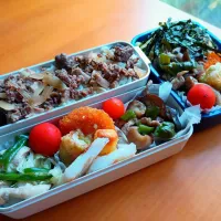 次男・私弁当|tamagomagomagoさん
