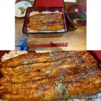 昨日はさいたま浦和でビジネスランチ@うなぎや　せきの。ブランド国産鰻とのことでしたが、確かに美味でした。肝焼きも絶品。美味しくいただきました。|sniper66さん