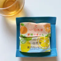 母恵夢　愛媛のみかんと瀬戸内レモン|ちゃみこさん