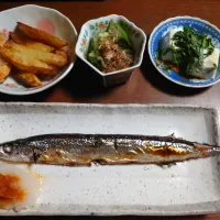 秋刀魚| ぱやさん