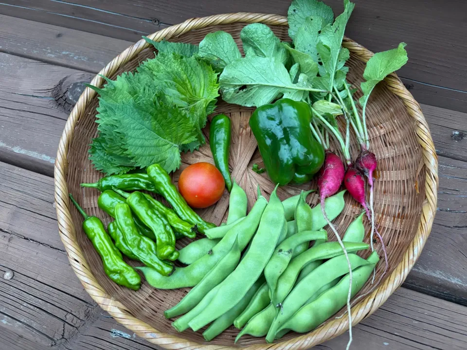 今年も庭で採れました💕|ことはさん