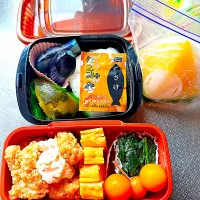 2025/08/24 早朝20分で作った唐揚げ弁当|Blueberry🫐さん