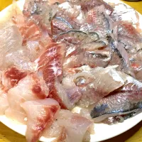 鯵とクロダイのお刺身|Hiroさん