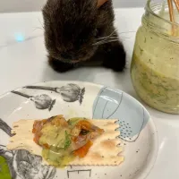 2025/8/23　鮭のための北欧のソース　Traditional Mustard Dill Sauce for Cured Salmon|19 Boys & 野鳥さん