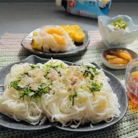 「そうめん　ﾁｬﾁｬﾁｬ🤭💦」|バシュランさん