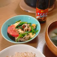 ★李錦記オイスターソース★スタミナ炒め|babyleafさん