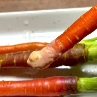 自家製人参🥕のスティック❣️旨辛マヨ|ひだまり農園さん