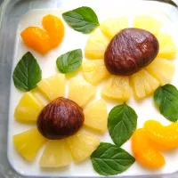 ひまわり牛乳寒天
