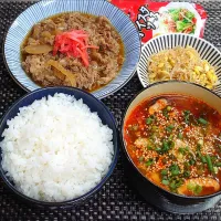 オイスターナムル付き牛皿定食でムスコの置きランチ|からあげビールさん