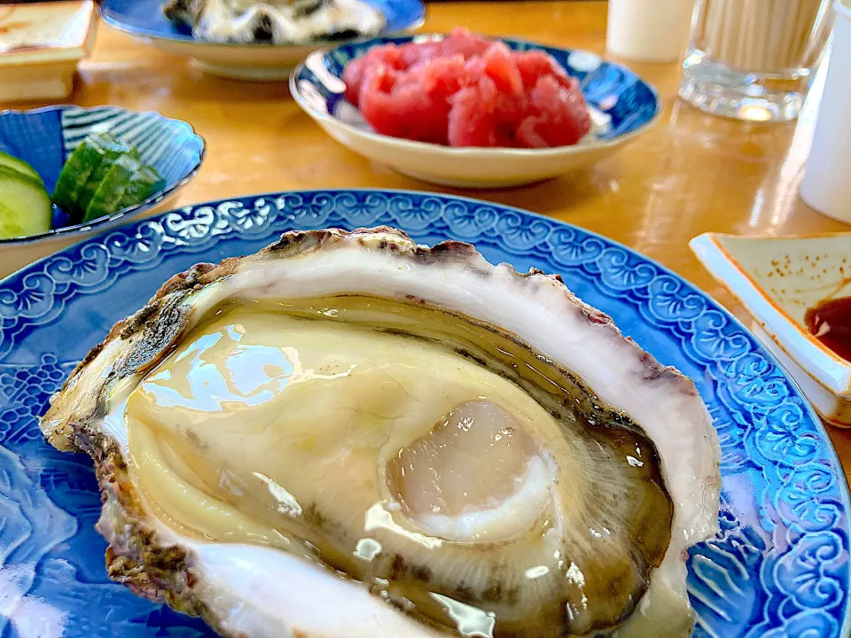 磯がき🦪|よっしーさん