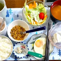 いつもの朝ごはん、野菜サラダの葉っぱは、グリーンピースです。卵焼きの油はオリーブオイルを使いました。|マースさん