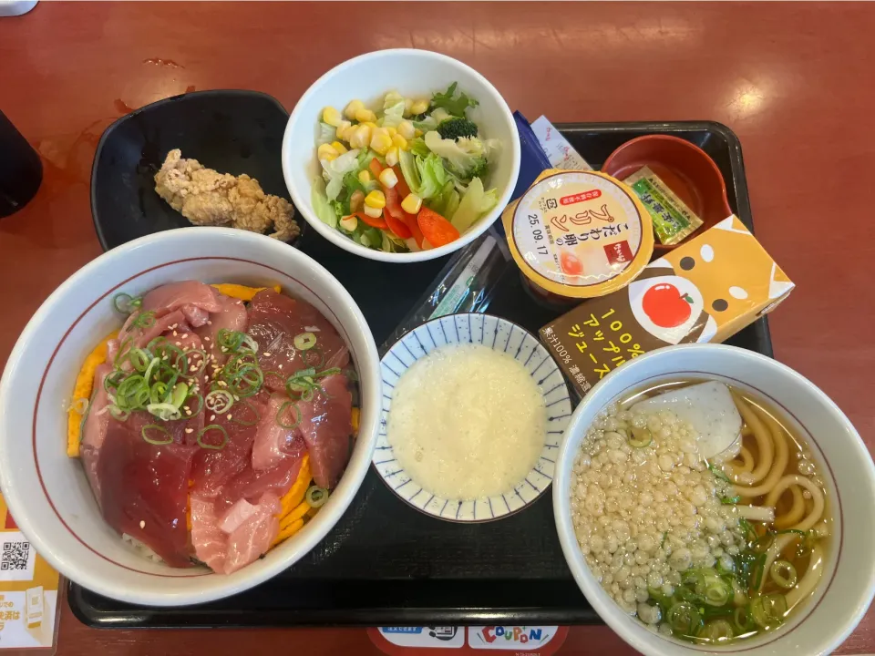 天然南まぐろ丼|takashiwagaさん