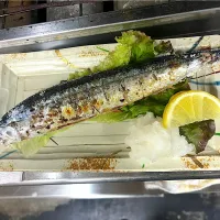 新秋刀魚塩焼き|Atsunobu Kuboさん