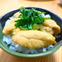 ウニのっけご飯|番長さん