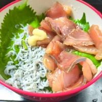 ハマチの漬けとしらす丼|お父ちゃんファミリーさん