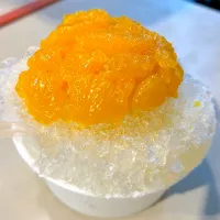 ハマスタ名物　みかん氷|きっしーさん