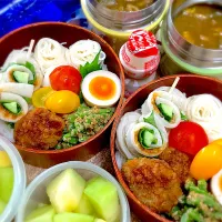 今日の夫婦弁⁽⁽ ◟(灬 ˊωˋ 灬)◞ ⁾⁾💕|桃実さん