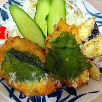 豆腐と鶏ひき肉のかりふわ揚げ| もーやんさん