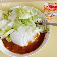 お昼ご飯|まめさん
