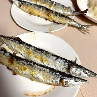 初秋刀魚|☆Kinuyo☆さん