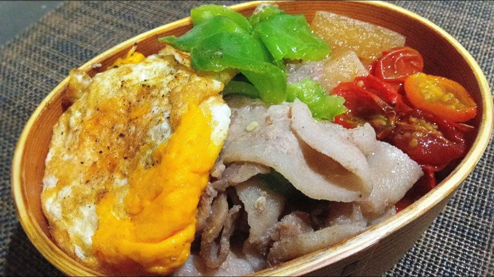 わっぱお弁当|マイさん