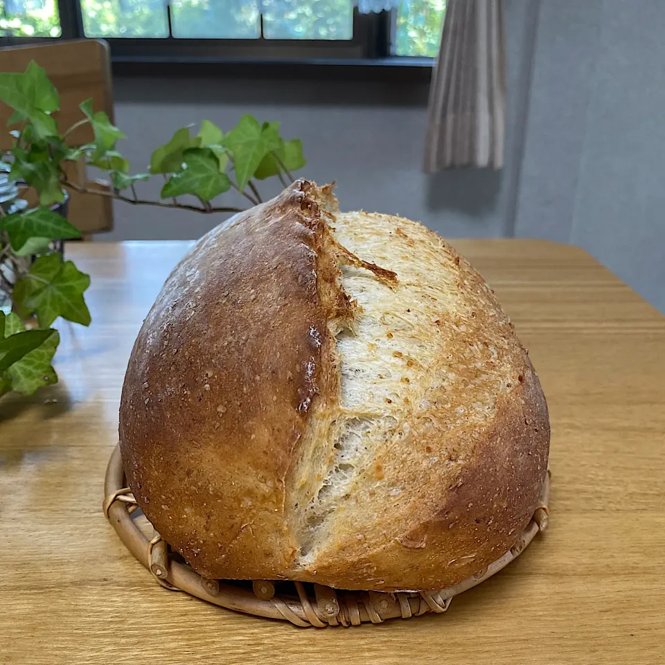 自家製酵母　ライ麦配合グラハム粉入りカンパーニュ|sakurakoさん