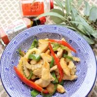 鶏ムネ肉と白ゴーヤのチンジャオロースー風炒め